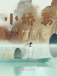 将门虎子小娇妻
